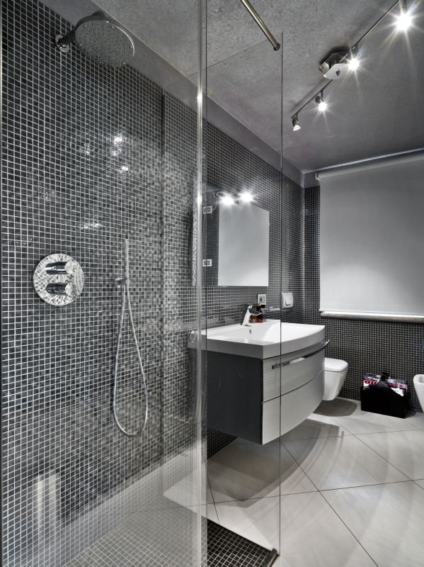 Contemporary Shower Space